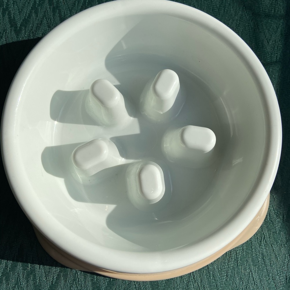 Slow feeder dog bowl